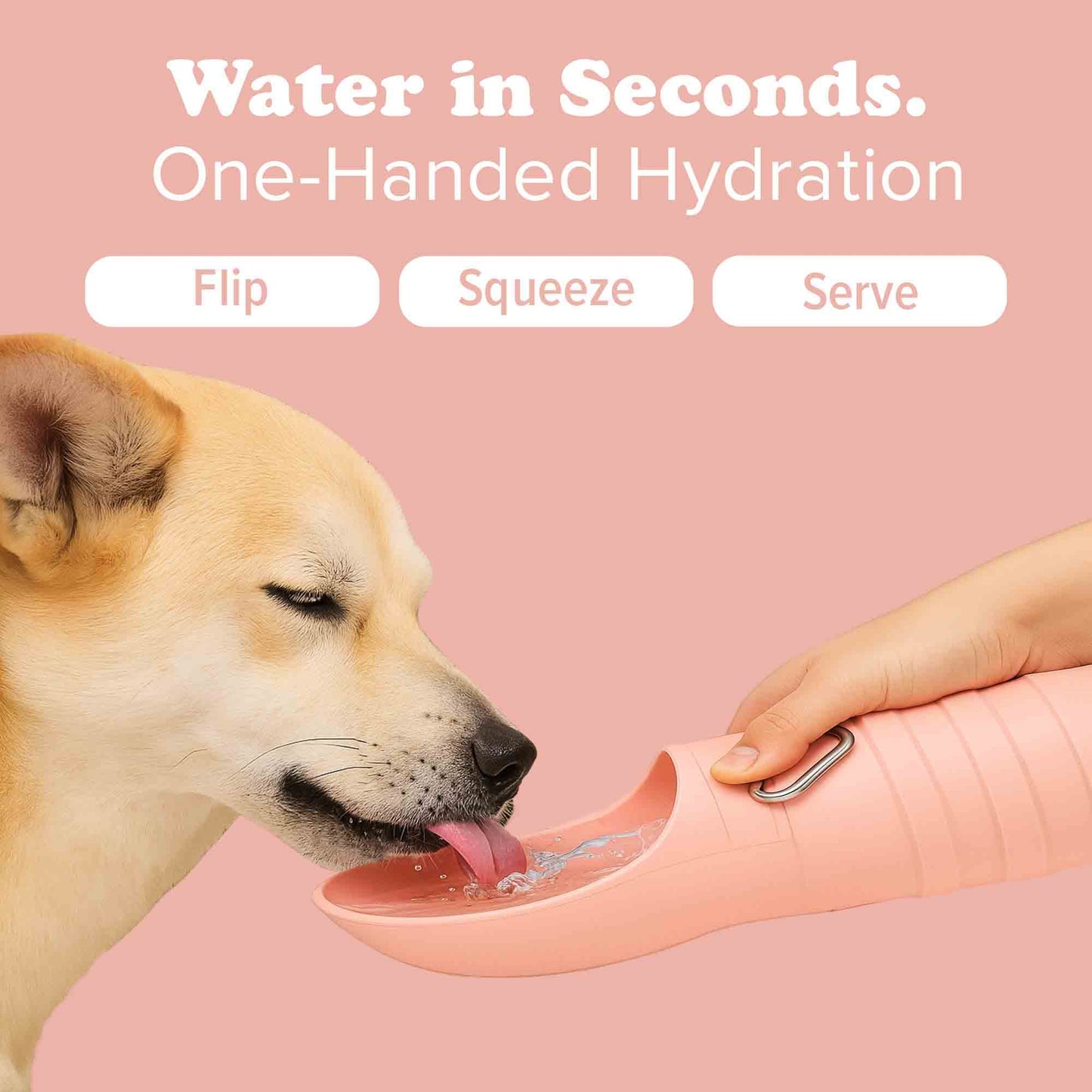 Puppington Collapsible Dog Water Bottle