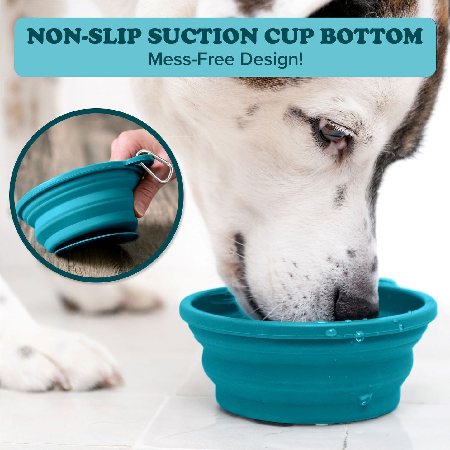 Puppington Slow-Feeding Travel Dog Bowl
